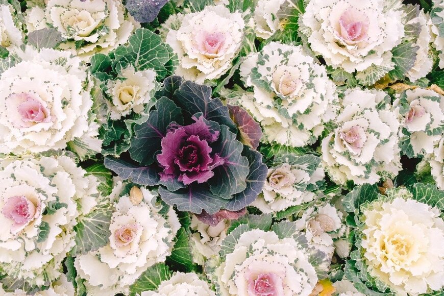 Polonskiy/istockphoto.com