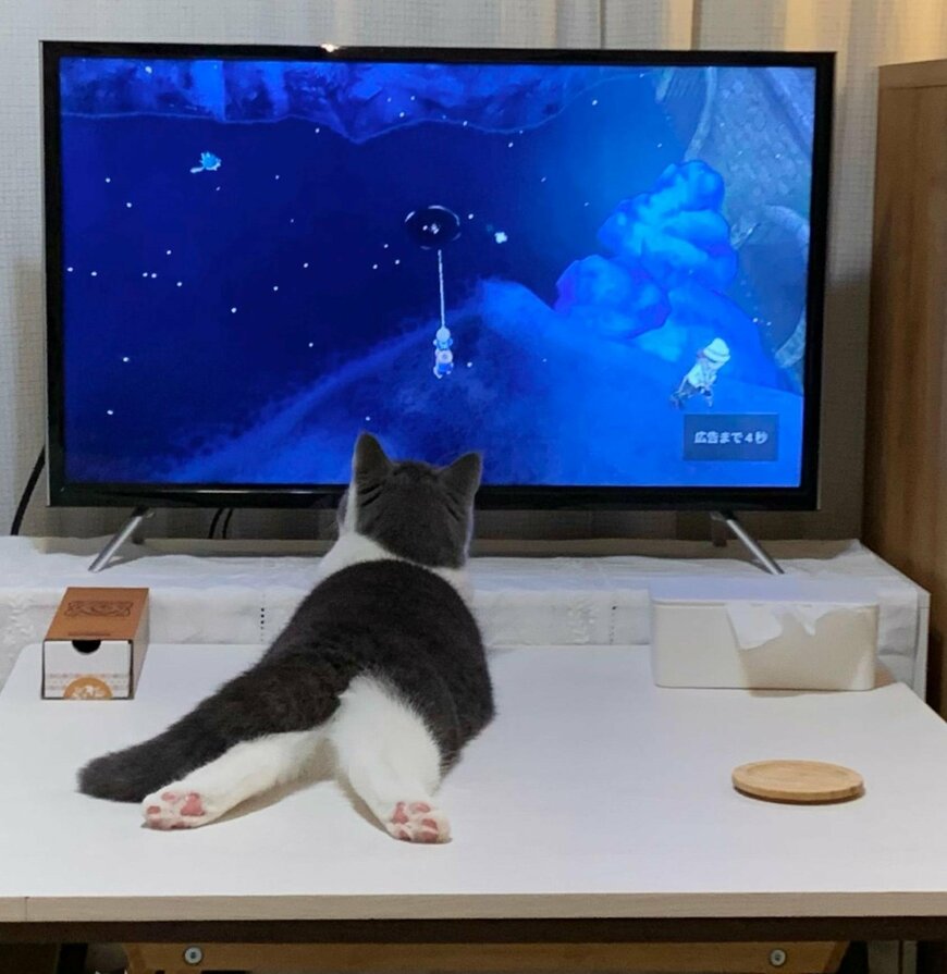 出所：@omochiomoching