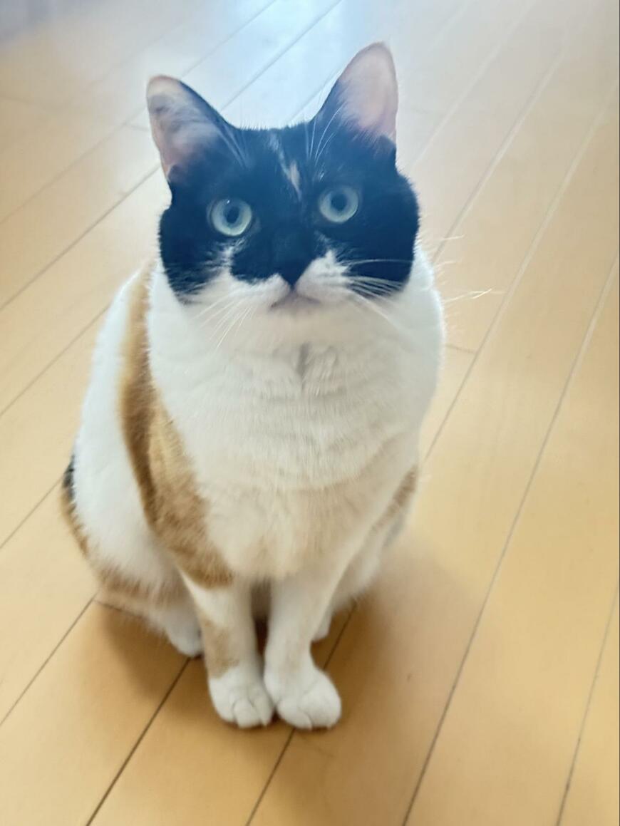 出所：@asjSvnCZl18wKXM