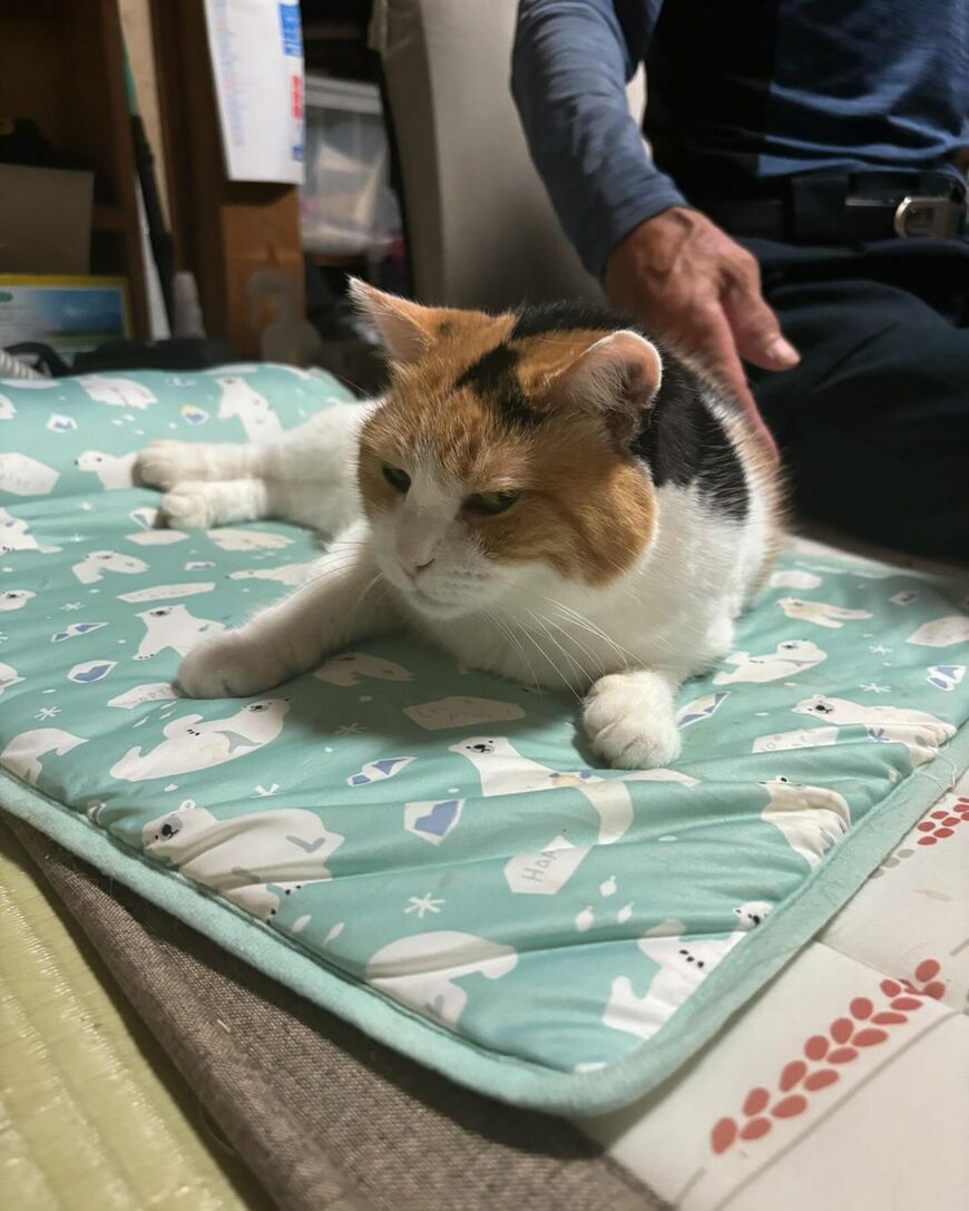 出所：@mike_noritama