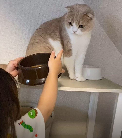 出所：@chanmaro1125