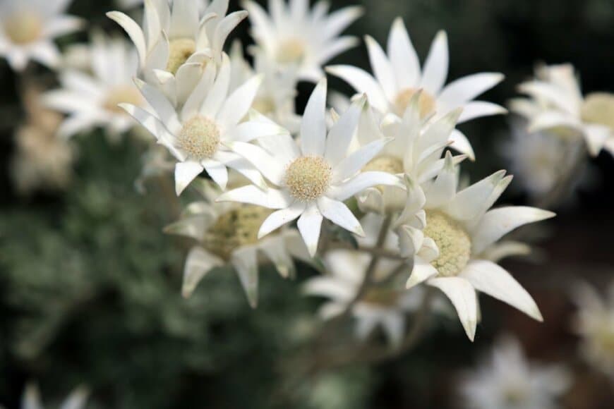 Judith Andrews/shutterstock.com