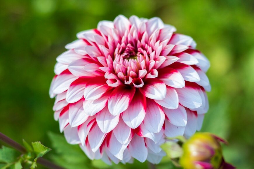 im a photographer and an artist/istockphoto.com