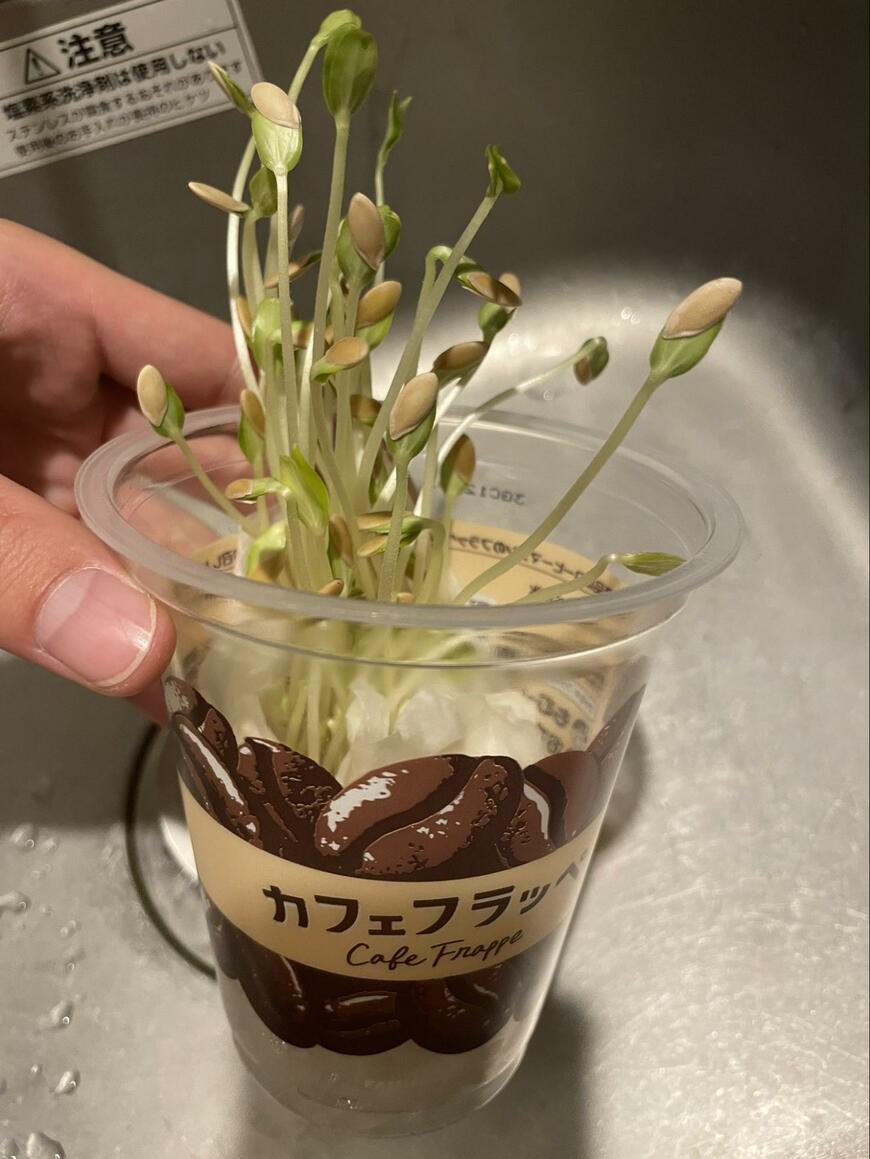 出所：@yutamaru0308