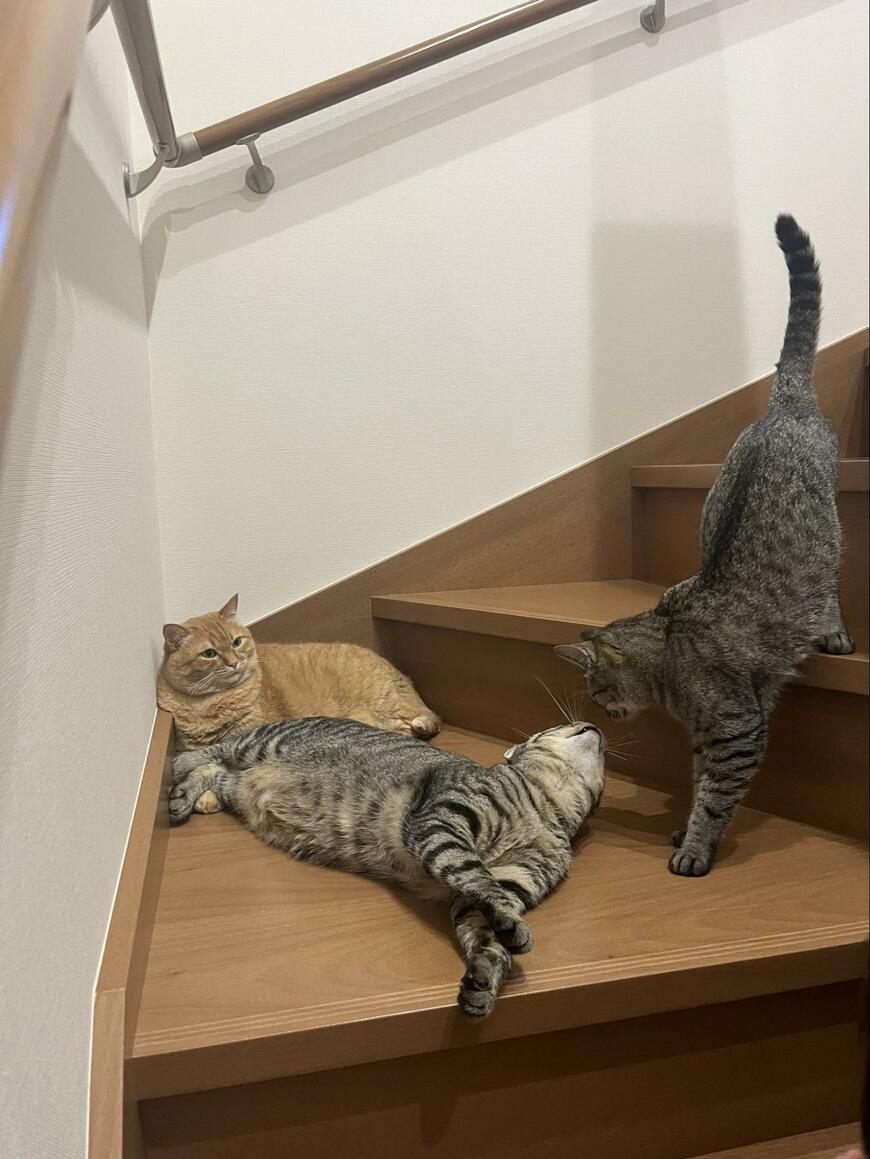 出所：@kagisuzu0531