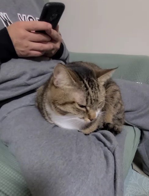 出所：@nekoko.429