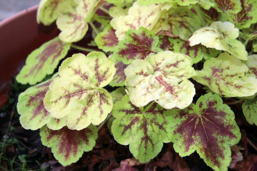 photowind/shutterstock.com