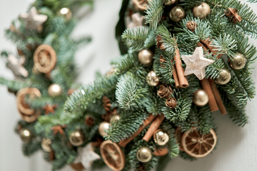                                                             Fusionstudio/shutterstock.com