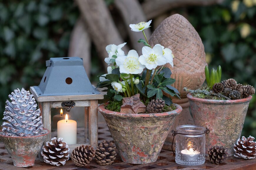 Natalia Greeske/Shutterstock.com