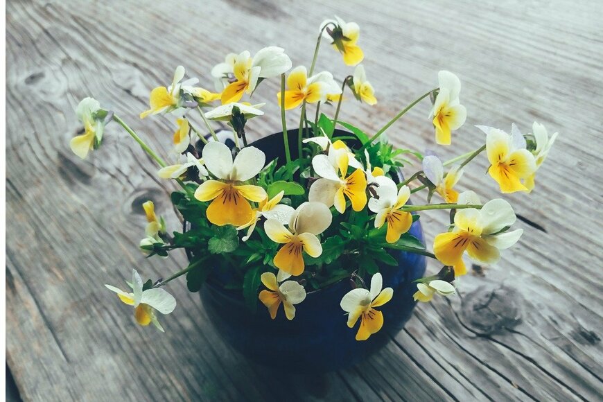 Olena Kalinova/istockphoto.com