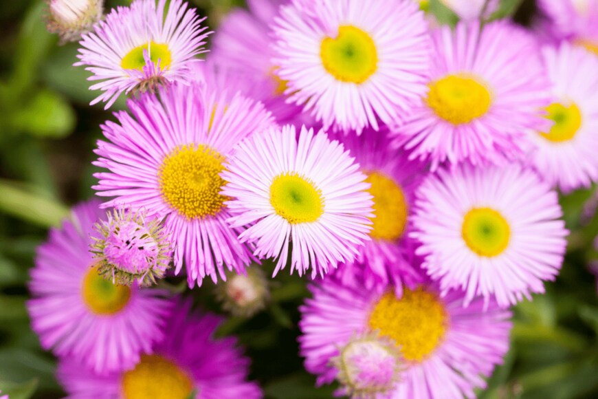 JP Chret/shutterstock.com