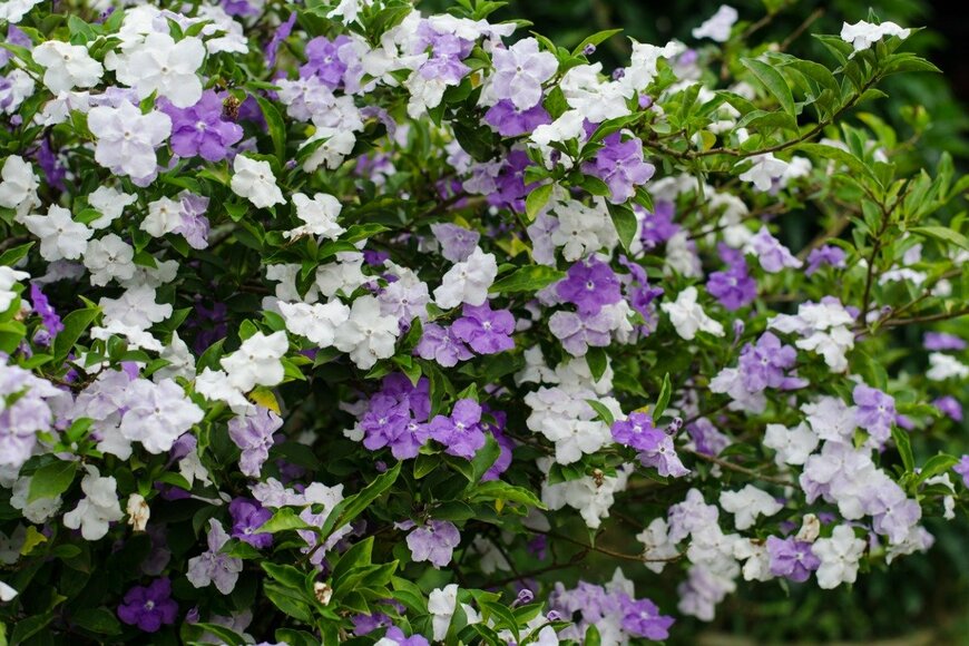 joloei/istockphoto.com