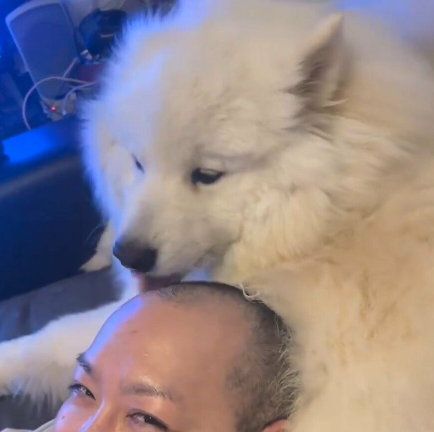 サモエドのヘッドスパ屋さん