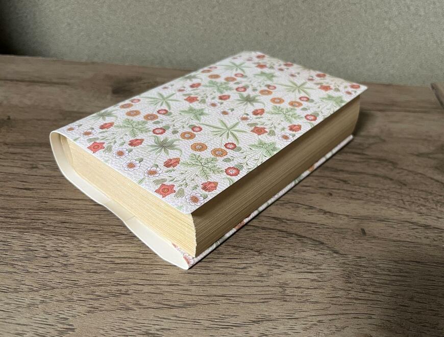 セリア、ノート & ブックカバー A6・文庫本対応サイズ マスターピースコレクション_PI & DA