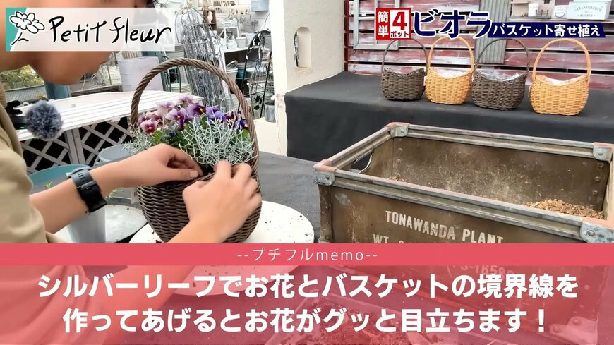 プチフルール 園芸Ch(@petit_fleur)さん投稿動画のキャプチャ