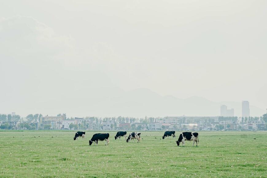 北海道大学で撮影された光景