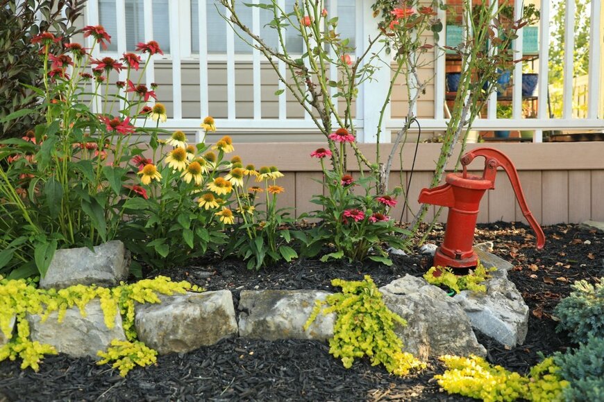 エキナセアなど夏の庭の花