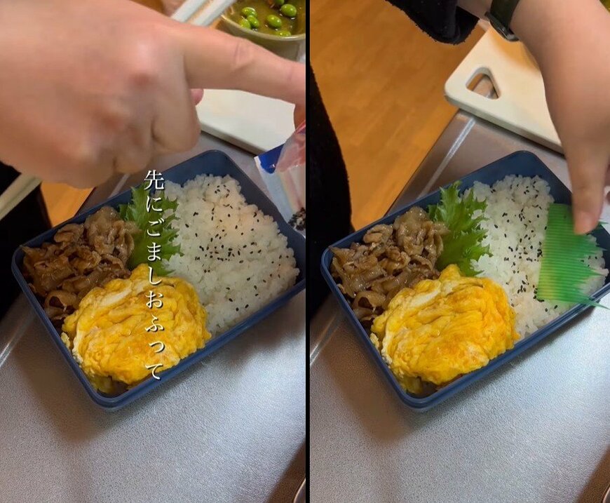 投稿動画のワンシーン