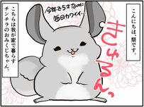 やり場のない気持ちを走って発散!? 「リアルネズミ花火」が可愛い 【チンチライフ48話】