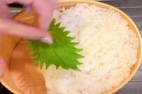 妻が夫に作る「時短チキンカツ弁当」　品数豊富で綺麗に盛り付けた一品がおいしそう…