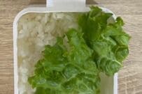 女性会社員が作る「ずぼら弁当」がたまらない…　定番おかずに「お弁当はこうじゃなきゃ」