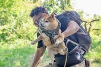 愛犬と「里山の散歩中」に発生したとんでもない状況　「魂レベルでシンクロ」した奇跡が話題に