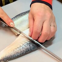 【家族のお弁当】バイトを頑張る息子に母が作る〈焼肉と焼き魚のお弁当〉。ブロッコリーやミニトマトを入れて彩り豊かに仕上げた、豪華な内容のおかずが並ぶお弁当が美味しそう