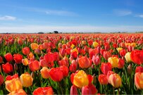 65歳以上・無職世帯の「平均貯蓄額」の実態。70～74歳の4割が「経済的に困っている」はホントか