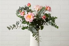 【ガーデニング】切り花をお洒落に生けて楽しむ「使いやすく・育てやすい」オススメ植物6選！