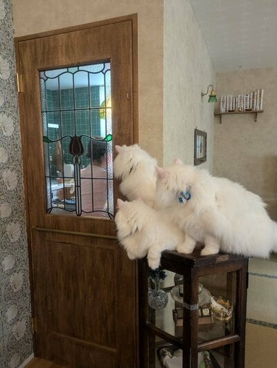 遊びにきた友人が撮影してくれた写真