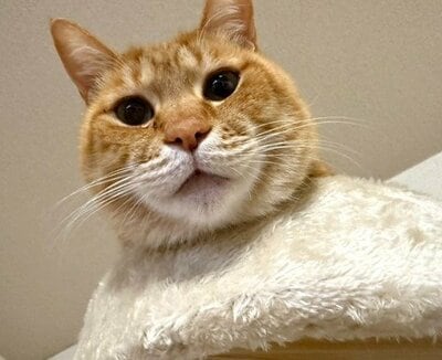 身体変わった!?