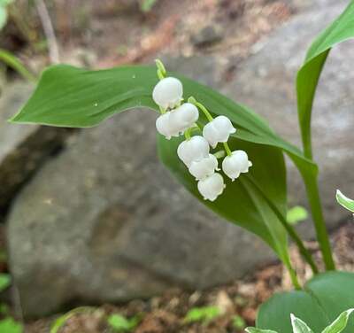 假屋崎省吾のAmeba公式ブログ投稿
