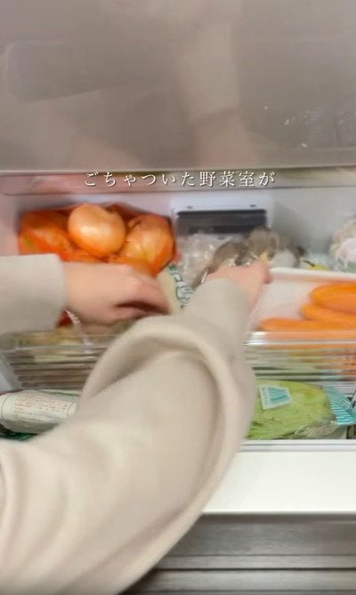 セリアとダイソーの商品を使った収納