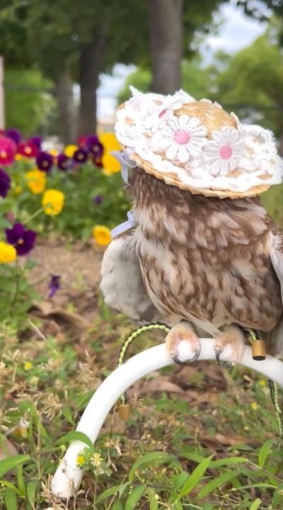 投稿動画のワンシーン