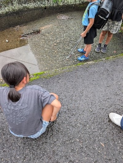 投稿の画像