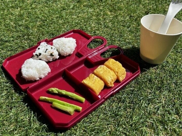 実際にお昼ご飯を載せてみました