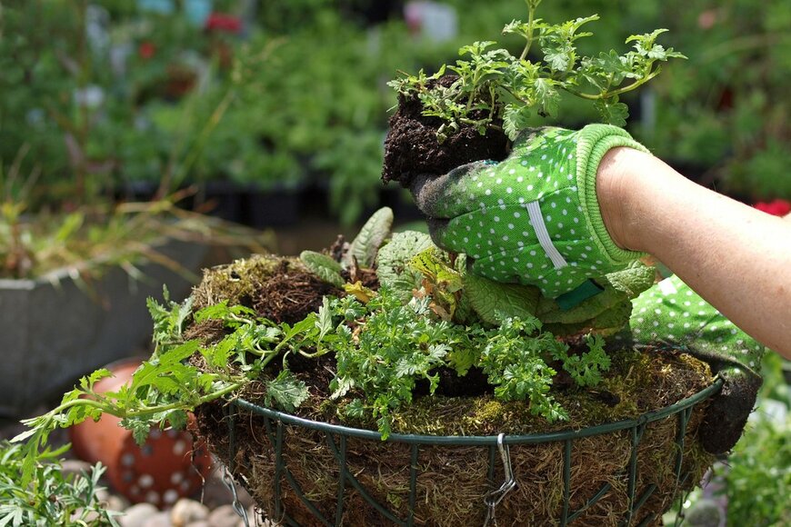 Sponner/shutterstock.com