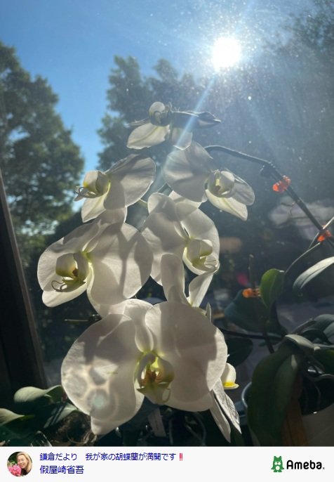 出所：假屋崎省吾のAmebaブログ 参照日：2025年7月25日