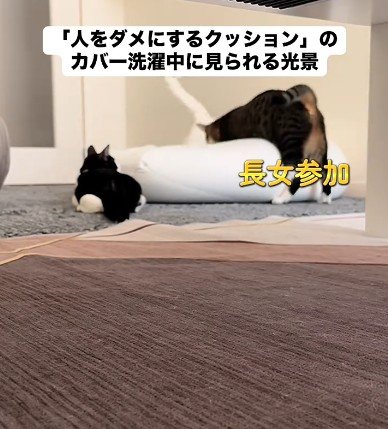 出所：@user5252430348026