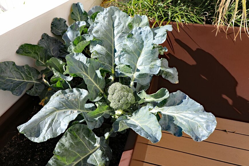 Thomas Barrat/Shutterstock.com