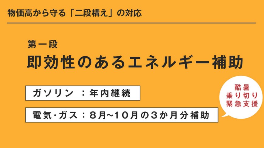 出所：首相官邸「岸田内閣総理大臣記者会見」2024年6月21日