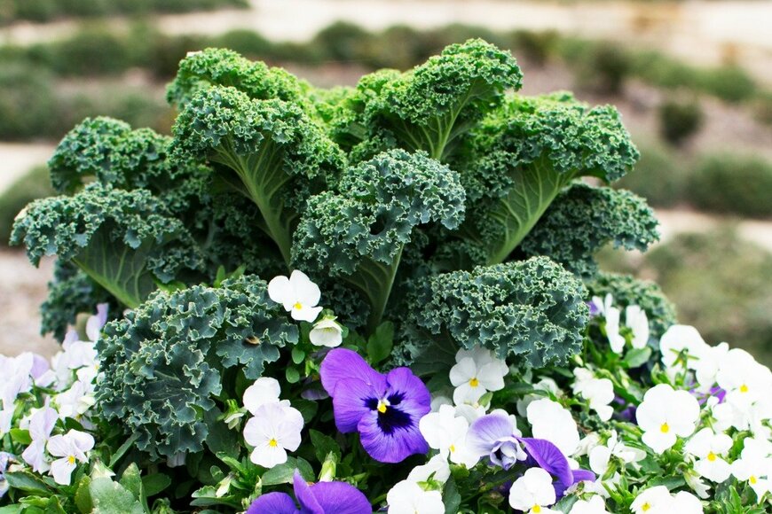 siantiger247/istockphoto.com