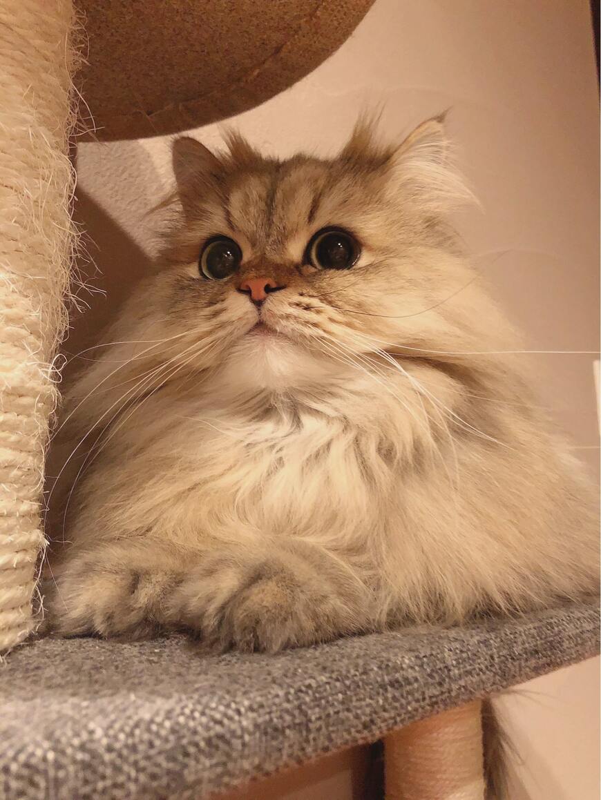 出所：@UphQepCv8J