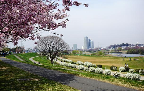 出所：川崎市