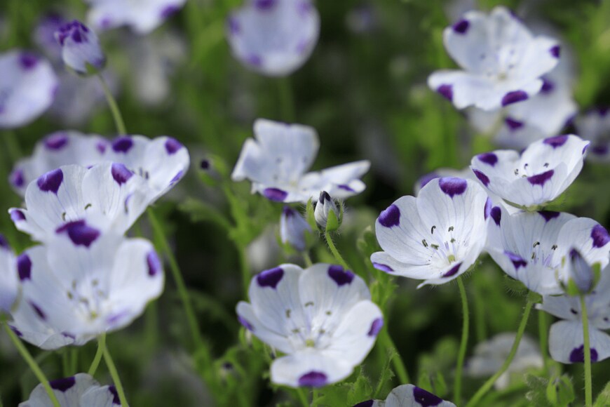 herlock_00/shutterstock.com