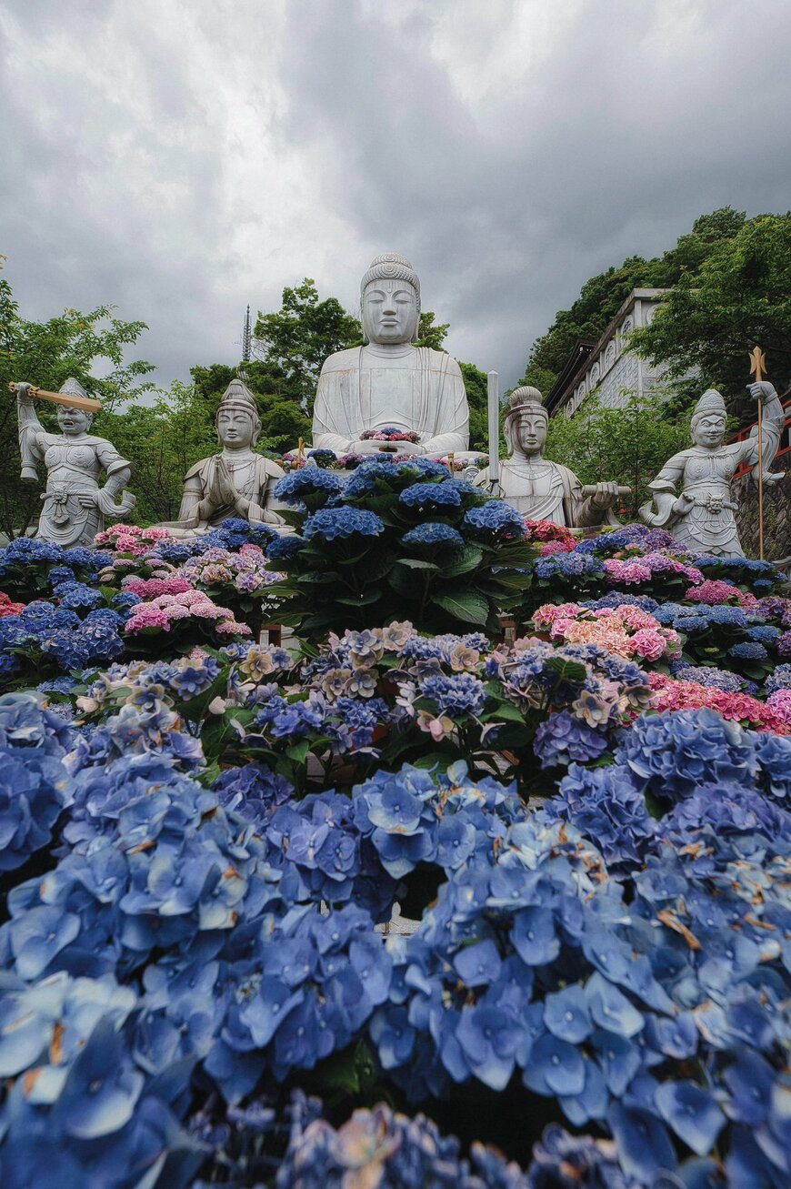 画像出所：@a_yumi0425