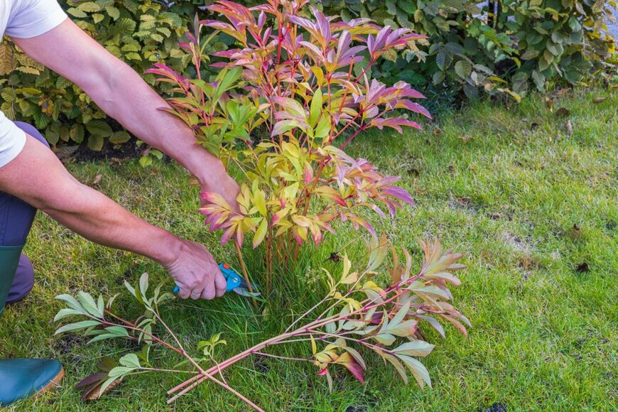 Mulevich/shutterstock.com