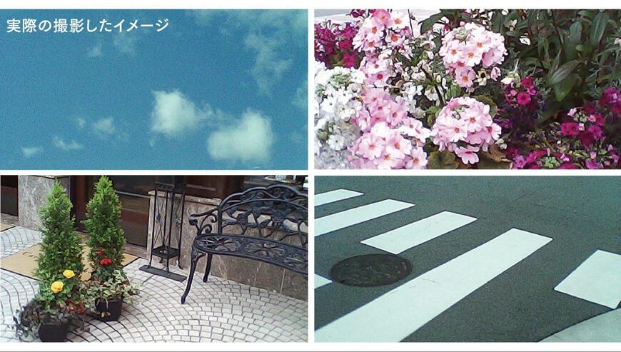 出所：パルグループ公式ファッション通販サイト 3COINS 待望の再入荷！ミニトイカメラを詳しく解説！