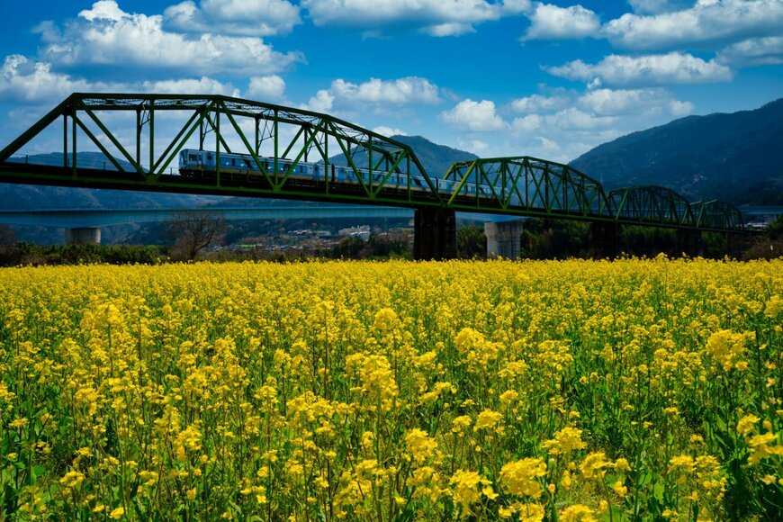 SAND555UG/shutterstock.com