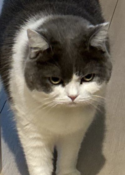 出所：@brimochi222